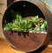 コルテン家の鋼鉄プランター半分の円形の壁掛けの植木鉢